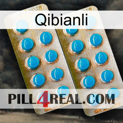 Qibianli new08